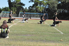 Enlarge photo 720