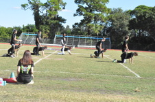 Enlarge photo 721