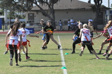 Enlarge photo 17