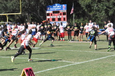 Enlarge photo 35