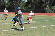 Enlarge photo 43
