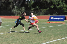 Enlarge photo 45