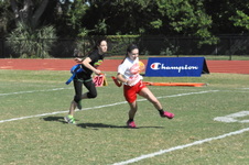 Enlarge photo 46