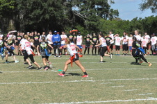 Enlarge photo 49