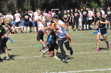 Enlarge photo 59
