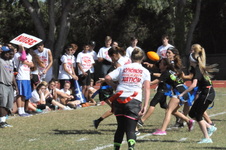 Enlarge photo 79