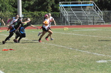 Enlarge photo 87