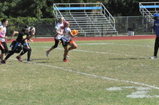 Enlarge photo 88