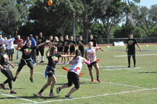 Enlarge photo 96