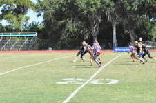 Enlarge photo 119