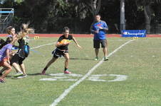 Enlarge photo 133