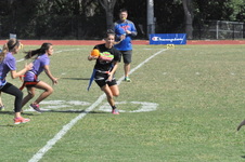 Enlarge photo 135
