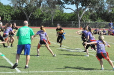 Enlarge photo 195