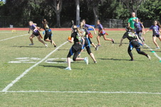 Enlarge photo 208