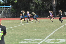 Enlarge photo 217