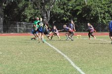 Enlarge photo 219