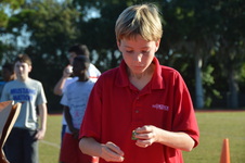 Enlarge photo 290