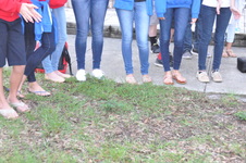 Enlarge photo 15