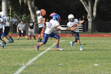 Enlarge photo 16