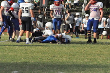 Enlarge photo 43