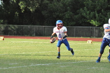 Enlarge photo 49