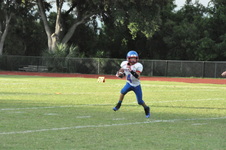 Enlarge photo 71