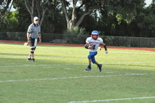 Enlarge photo 72
