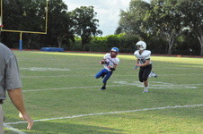 Enlarge photo 75