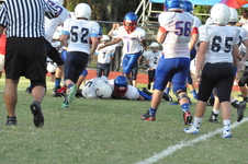 Enlarge photo 81
