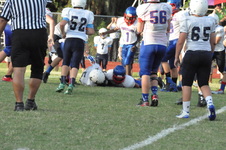 Enlarge photo 82