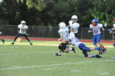 Enlarge photo 87