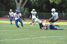 Enlarge photo 89