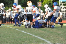 Enlarge photo 103