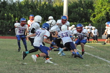 Enlarge photo 104