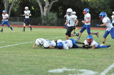 Enlarge photo 110