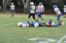 Enlarge photo 51