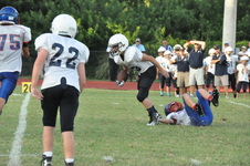 Enlarge photo 61