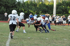 Enlarge photo 65