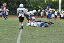 Enlarge photo 66