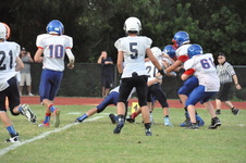 Enlarge photo 120