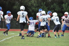 Enlarge photo 121