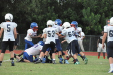 Enlarge photo 124