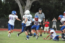 Enlarge photo 131