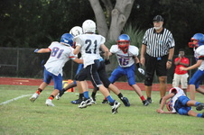 Enlarge photo 132