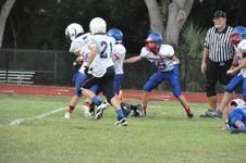 Enlarge photo 133