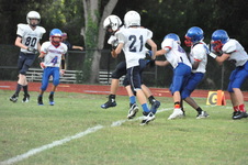 Enlarge photo 134