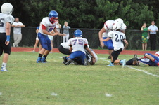Enlarge photo 137