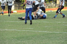 Enlarge photo 149
