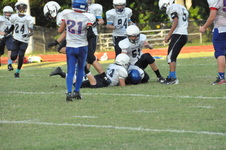 Enlarge photo 150