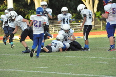 Enlarge photo 151